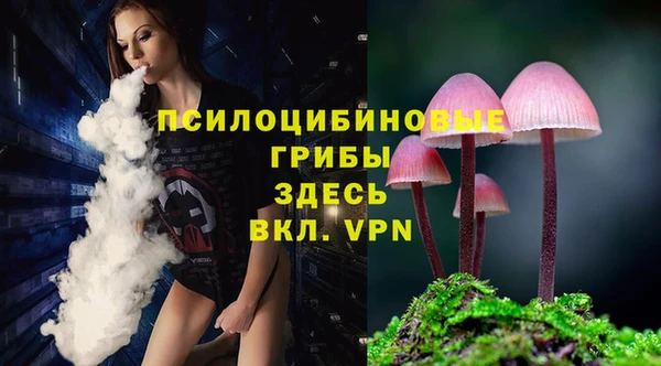 спайс Алексин
