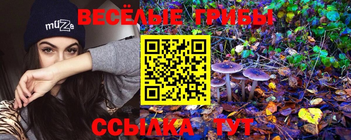 Галлюциногенные грибы GOLDEN TEACHER Омск